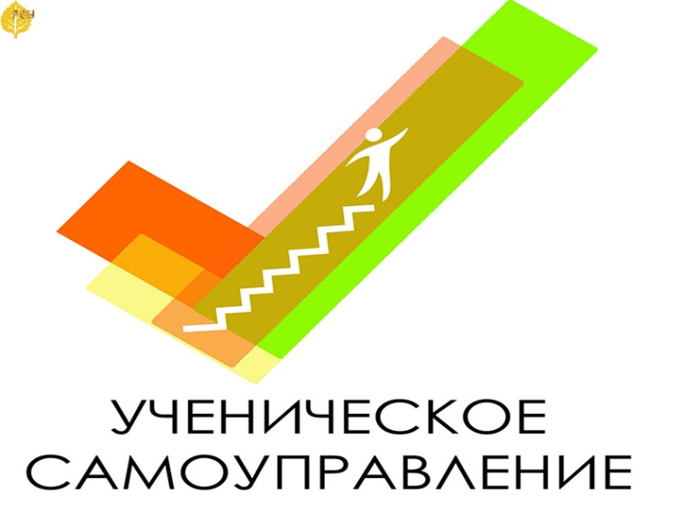 Выборы лидера ученического самоуправления.